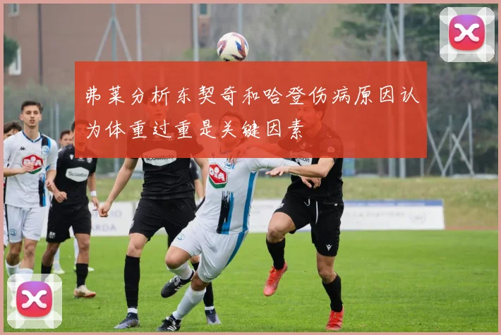 弗莱分析东契奇和哈登伤病原因认为体重过重是关键因素